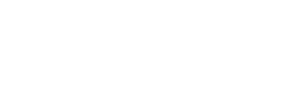 niiwin by Animikii Logo